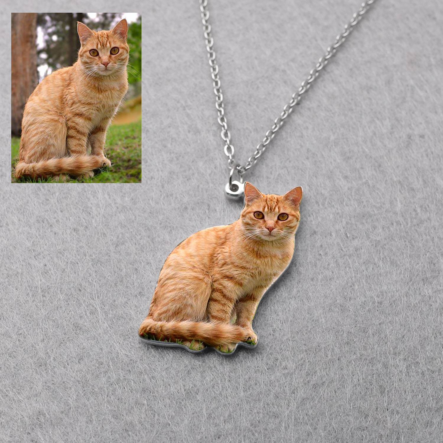 Collar con foto de mascota per - Pet Portrait Custom reseña y precio